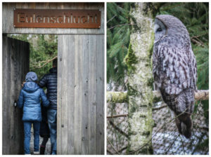 Tierpark Goldau
