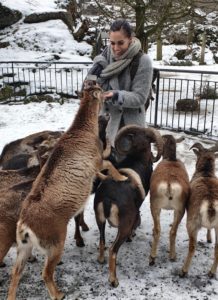 Tierpark Goldau