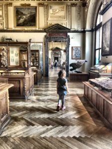Naturhistorisches Museum Wien Tipps