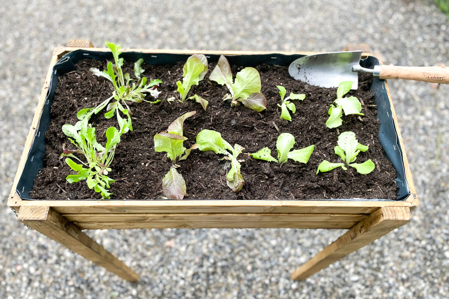 DIY Mini Hochbeet / LouMalou.ch