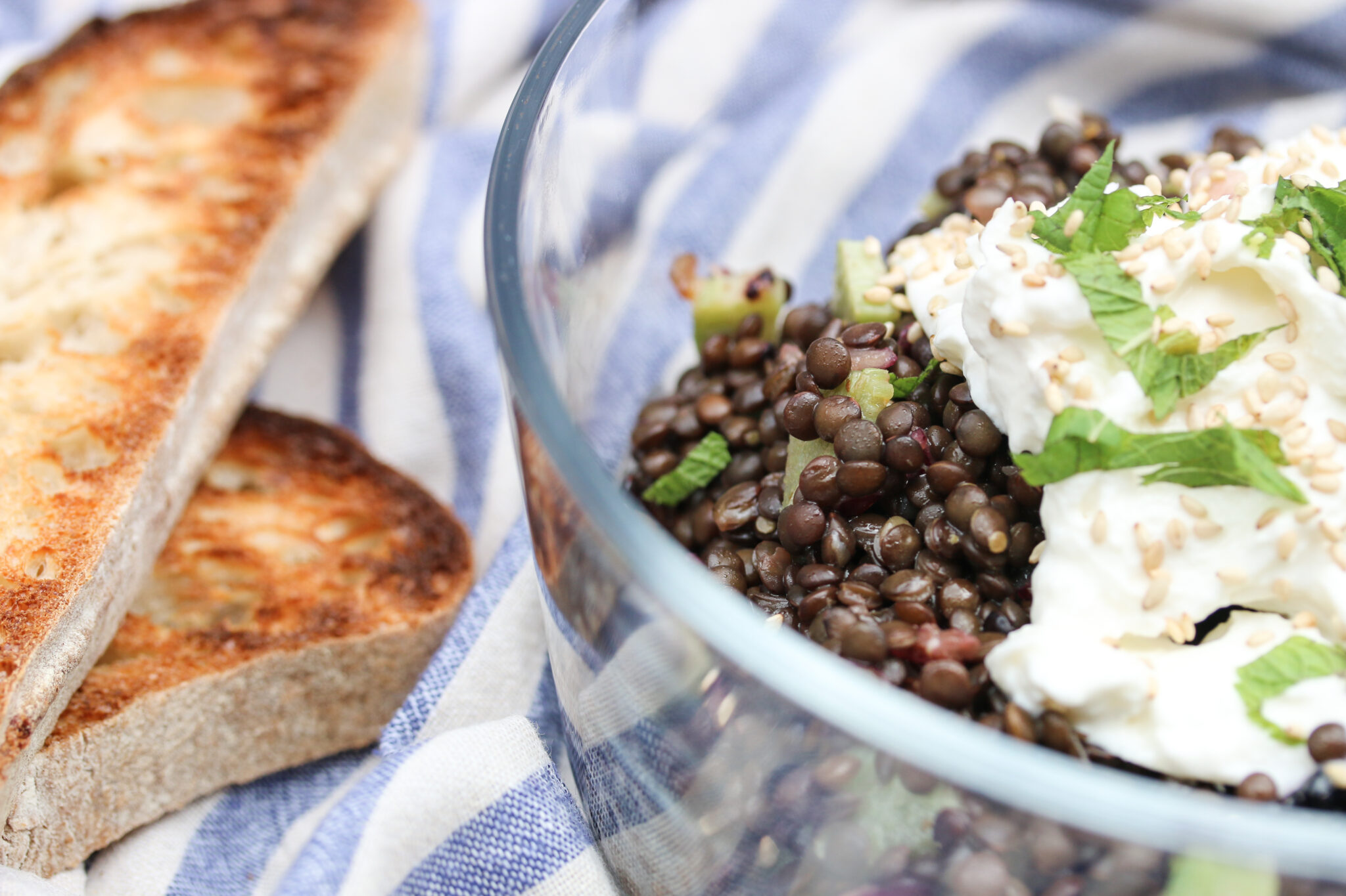 Linsenalat mit Rhabarber und Burrata an Honig-Chili Dressing