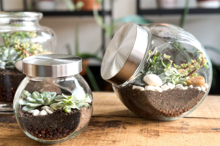 DIY Flaschengarten / LouMalou.ch