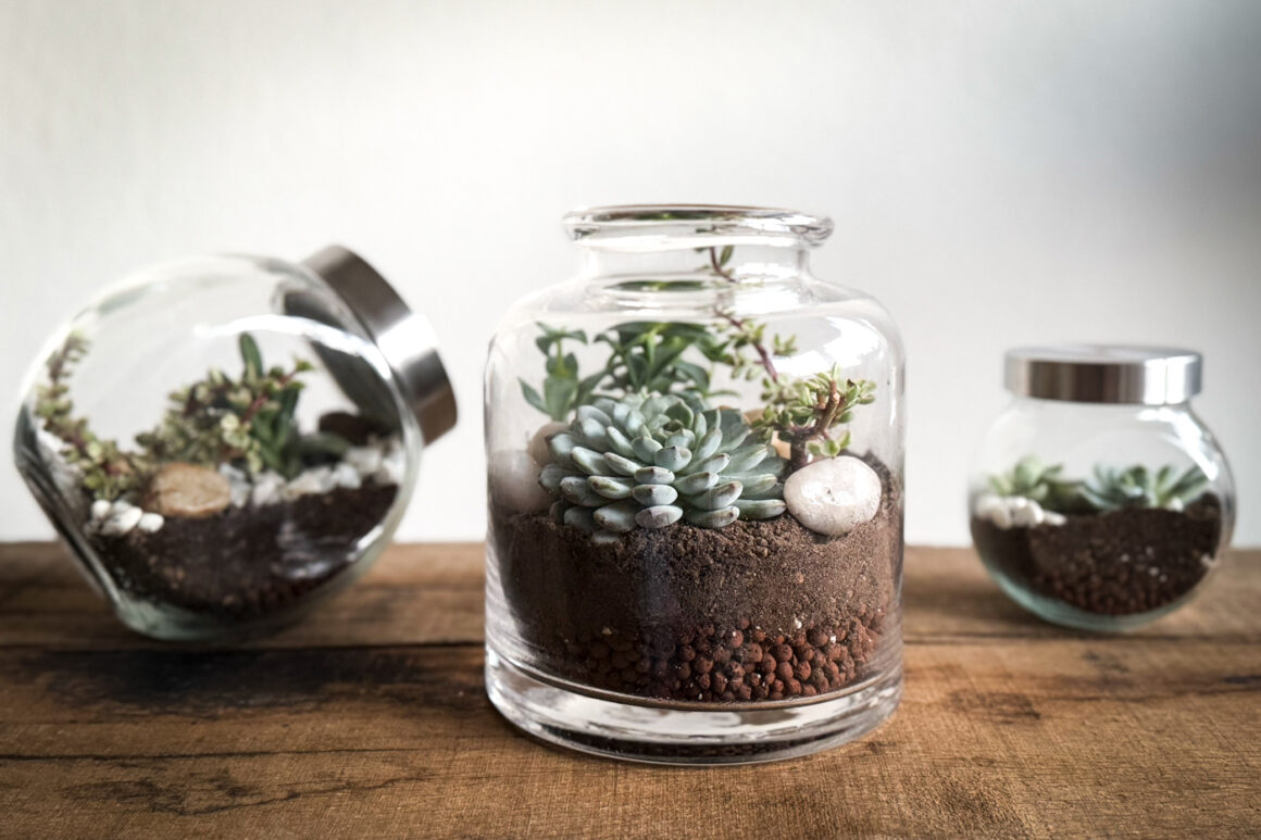 DIY Flaschengarten / LouMalou.ch