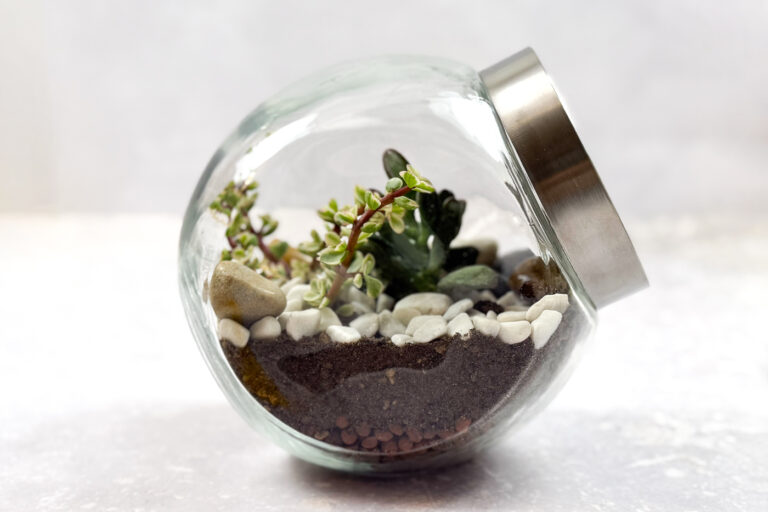 DIY Flaschengarten / LouMalou.ch
